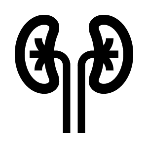 Buk och inre organ icon