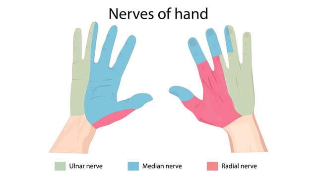 ”bild-pa-handens-nerver”