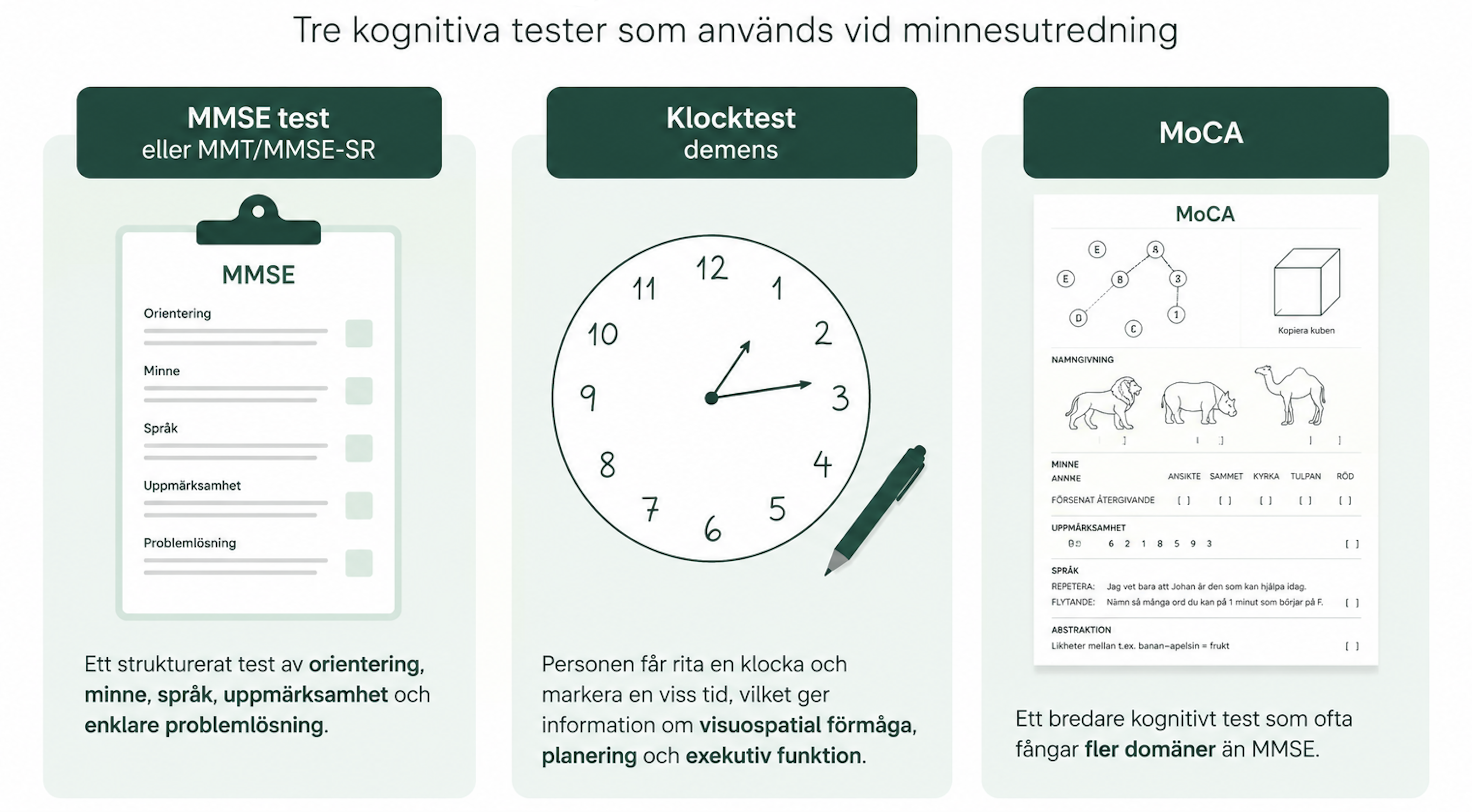 ”Exempel på tester som görs under en demensutredning