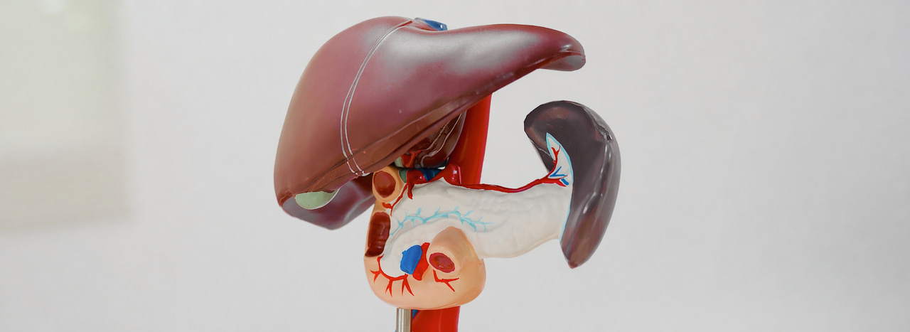 What does fatty liver mean and how do you know if you have it?