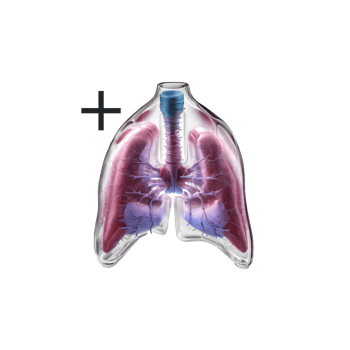 Sköldkörtelprov plus