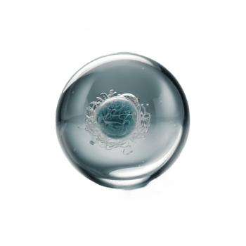 hCG - Pregnancy test