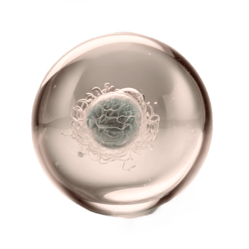 Graviditetstester icon