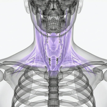 MRI throat