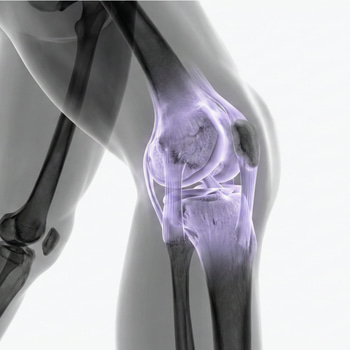 MRI Knee