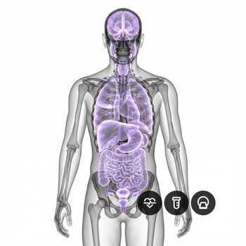 MRI Full Body Pro