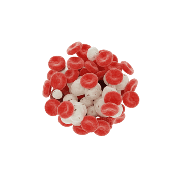 Health check - Blood lipids