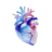 Heart & Vessels icon