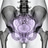 MRI Pelvis