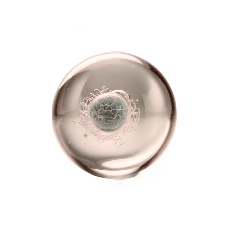 Health check pregnant