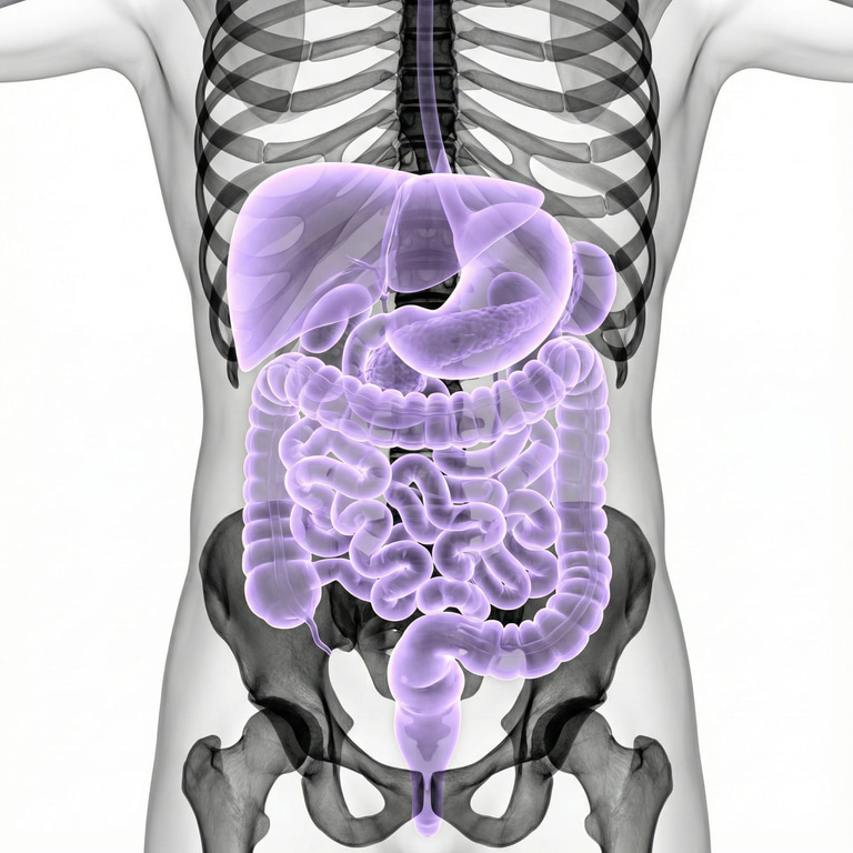 MRI Abdomen/MRCP