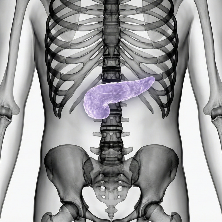 MRI Pancreas
