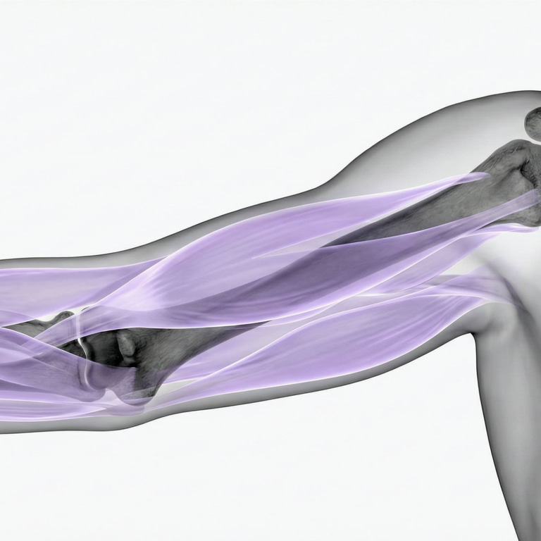 MRI Upper arm