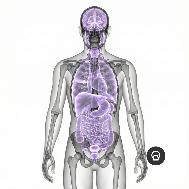 MRI Full Body
