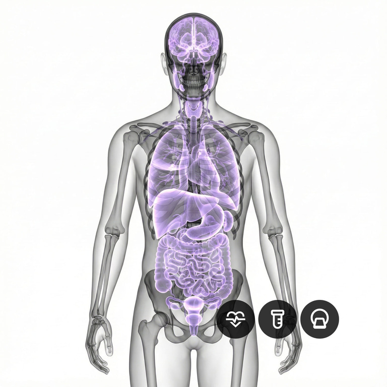 MRI Full Body Pro