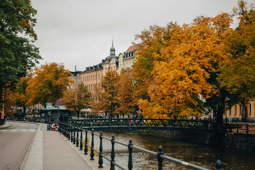 Mer än bara höstmörker - när kroppen ropar efter näring